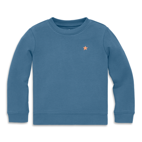 Kids Embroidered Sweatshirt (Toddler, Little Kid, & Big Kid)