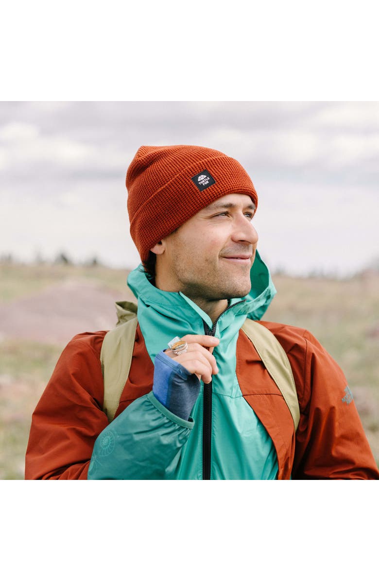 Turtle Fur Homer Watch Cap, Alternate, color, 