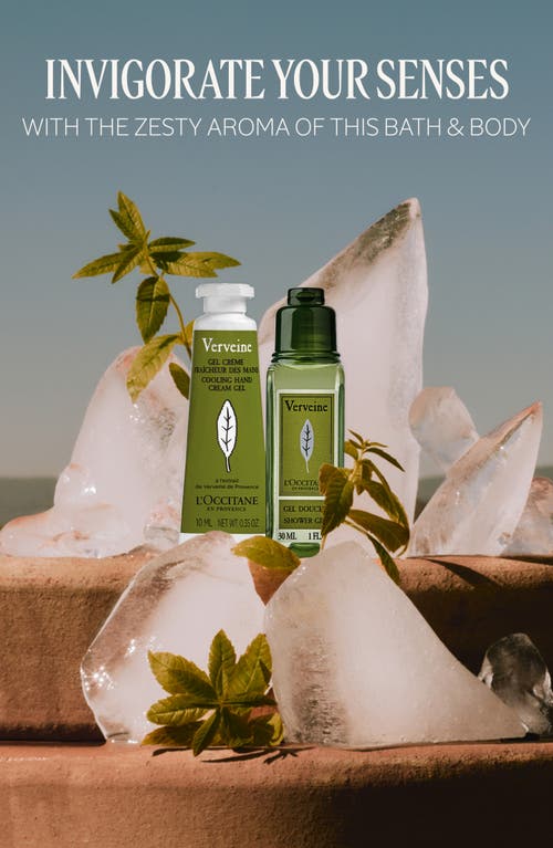 L'occitane Festive Crackers Skin Care Set $36 Value In Transparent