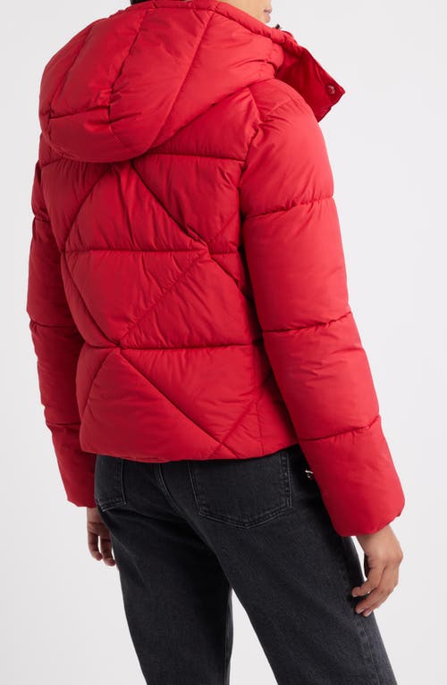 Sam Edelman Cropped Puffer Jacket In Red