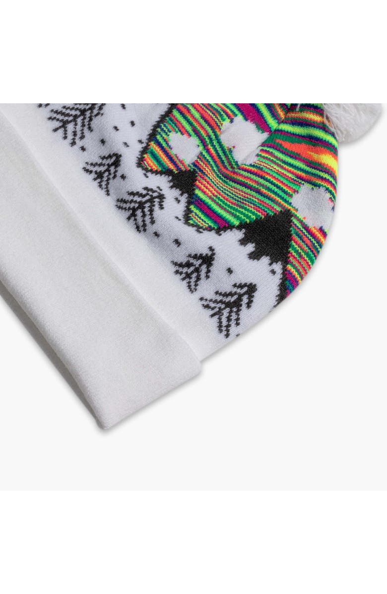 Turtle Fur Kids Mountain Dreamer Pom Winter Hat, Alternate, color, Rainbow