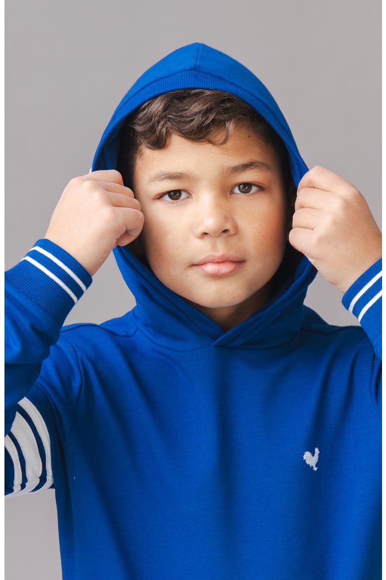 Kids' Organic French Terry Kanga Hoodie, Alternate, color, Bold Blue