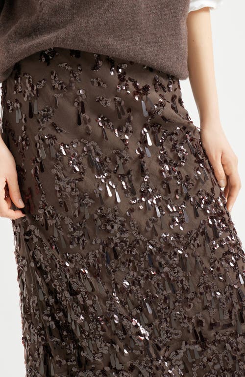 Brunello Cucinelli Long Skirt With Swing Drops Embroidery In Brown