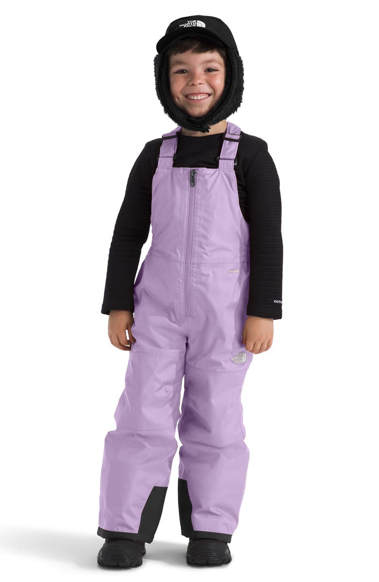 The North Face Kids' Freedom Insulated Waterproof Snow Bibs, Alternate, color, 