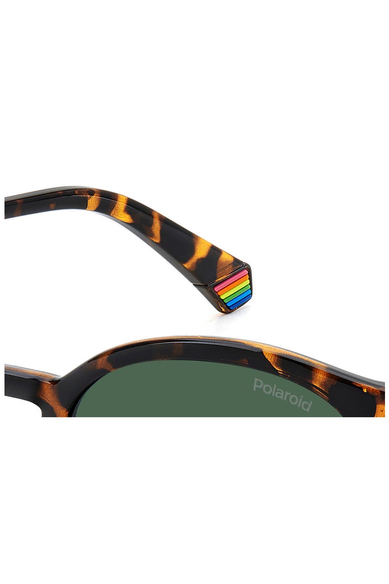 51mm Polarized Phantos Sunglasses, Alternate, color, HAVANA/ GREEN POLAR