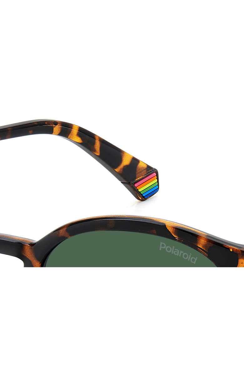 Polaroid 51mm Polarized Phantos Sunglasses, Alternate, color, Havana/ Green Polar