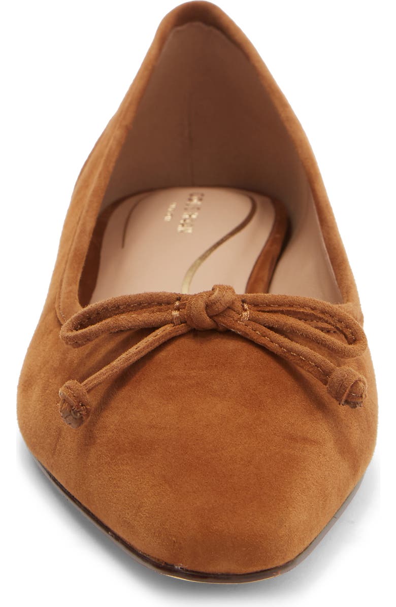 Cole Haan Paget Ballet Flat, Alternate, color, Tobacco Suede