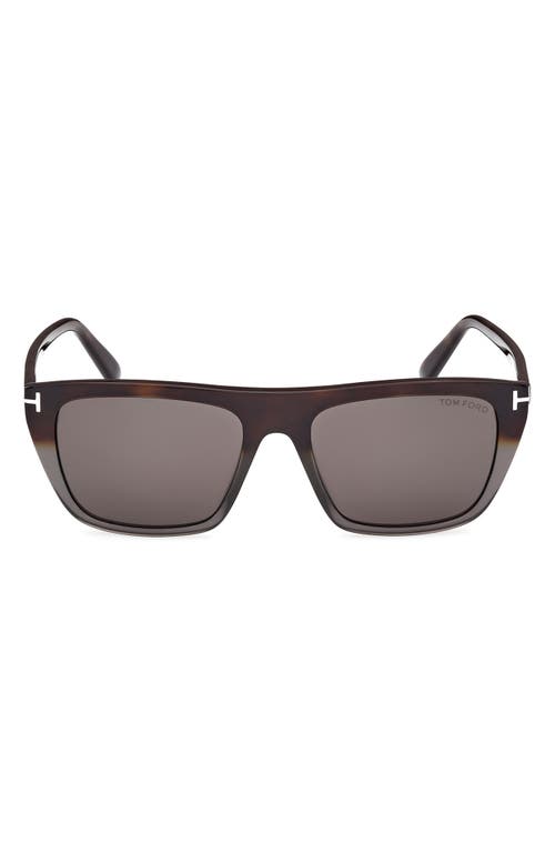 Tom Ford Aslan 56mm Rectangular Sunglasses In Havana Into Grey Havana