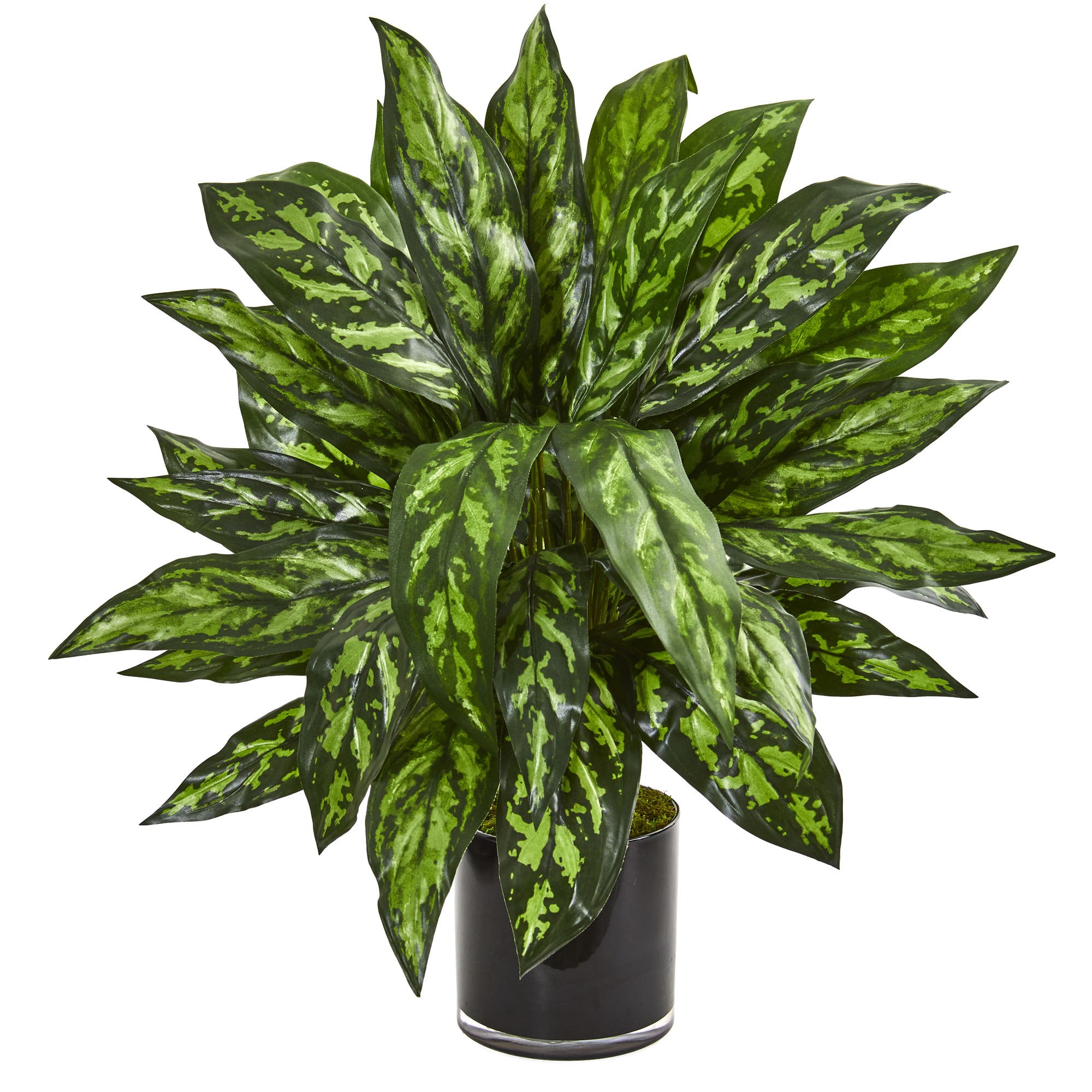 selected Green