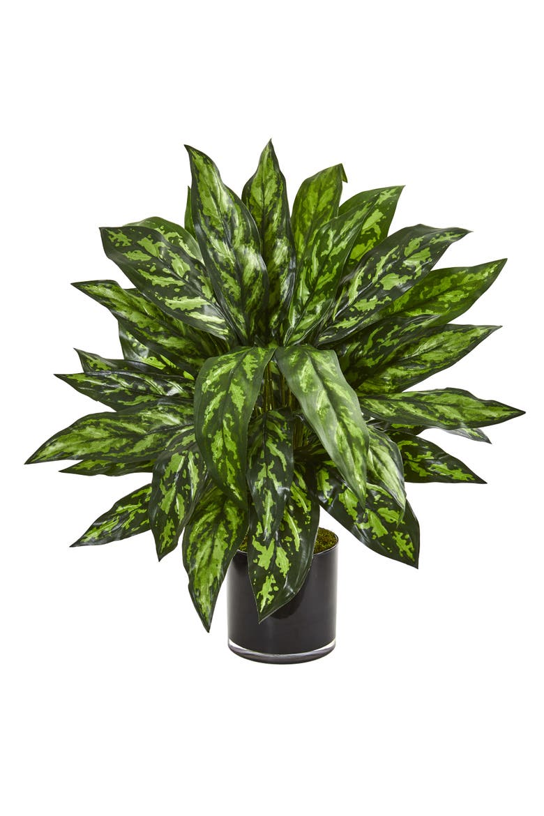 Silver King Artificial Plant in Black Glass Vase, Main, color, Green