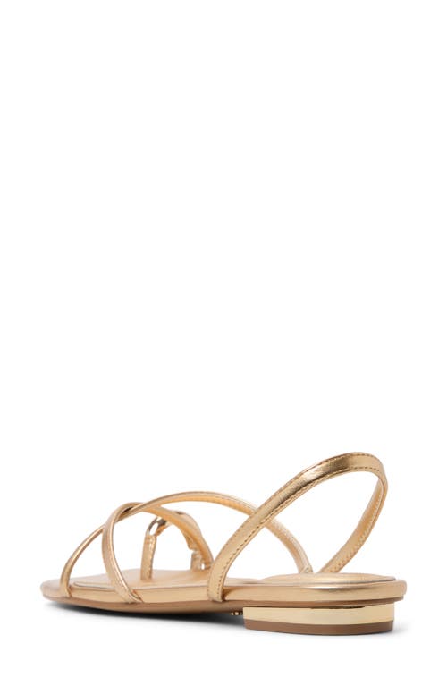 Shop Aldo Synthesa Toe Loop Sandal