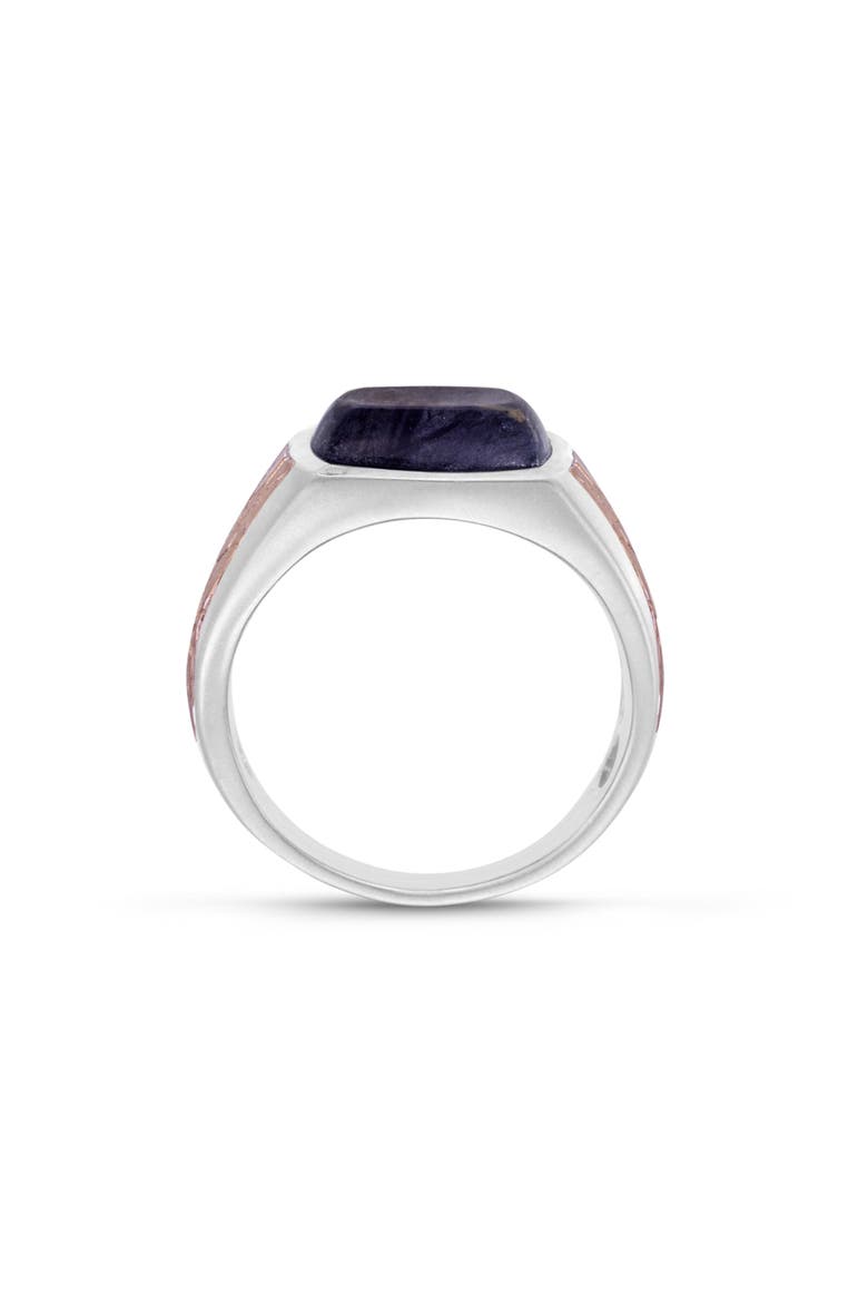 Grey Picture Agate Sterling Silver Men Signet Ring, Alternate, color, Silver