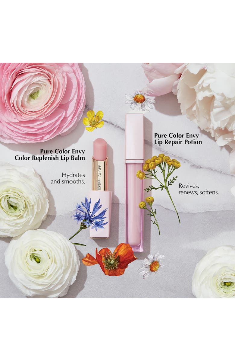 Estée Lauder Pure Color Envy Lip Care Set $76 value, Alternate, color, 
