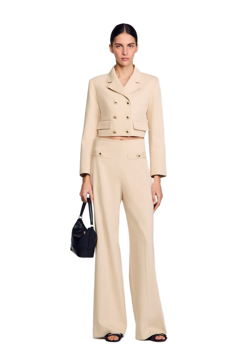 SANDRO Suit trousers, Alternate, color, 