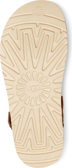 Goldenstar Clog