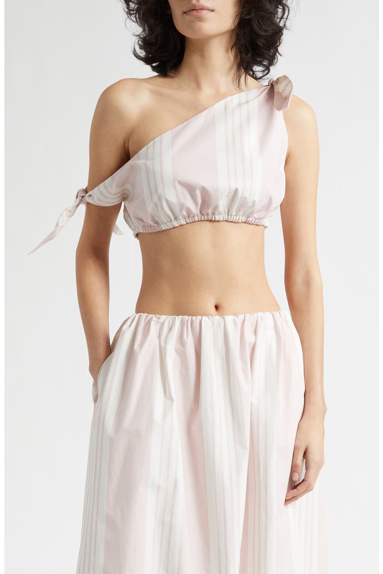 Rosie Stripe Asymmetric Neck Crop Top, Main, color, PINK STRIPE