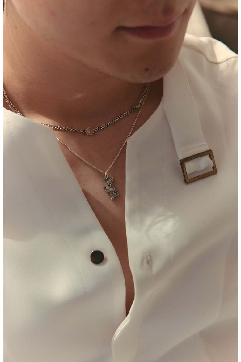 Taegeuk Peace Necklace, Alternate, color, Silver