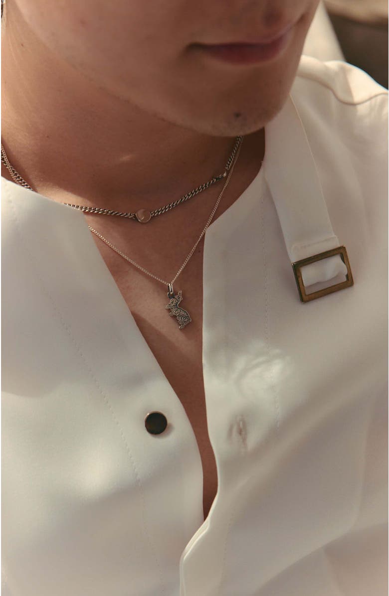 LOUPN Taegeuk Peace Necklace, Alternate, color, Silver