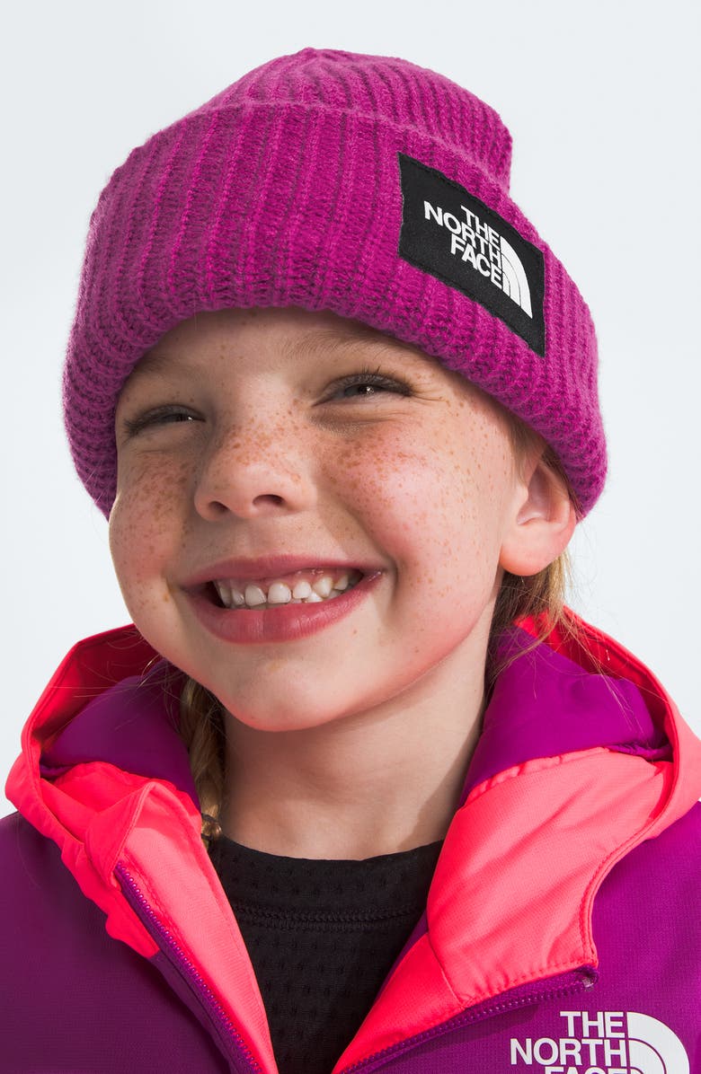 The North Face Kids' Salty Lined Beanie, Alternate, color,