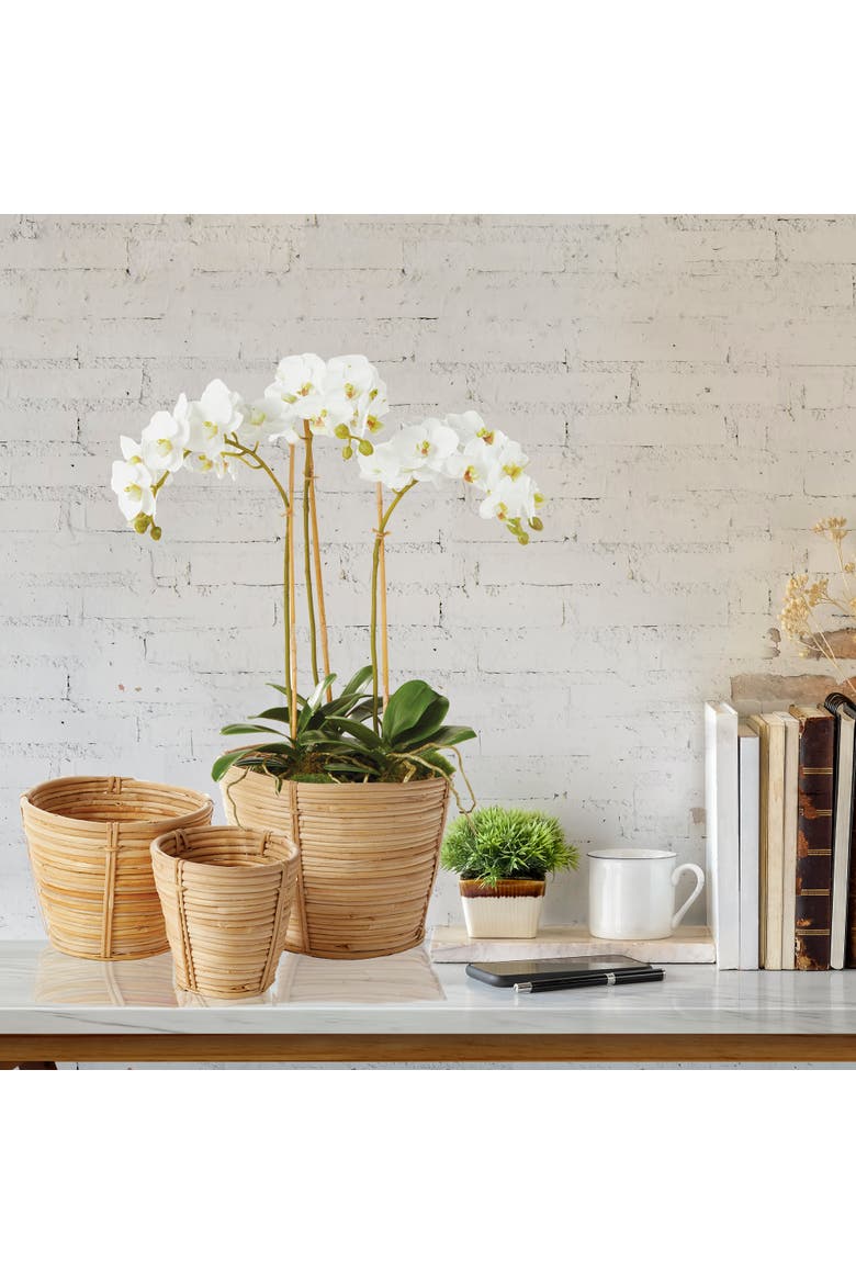Phalaenopsis Orchid Faux (Fake) Mini Garden Drop-In 16", Alternate, color, White