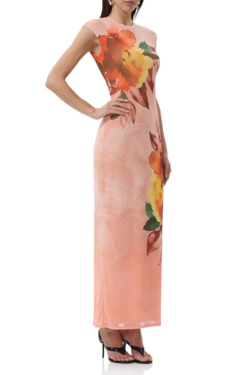 AFRM Cody Print Cap Sleeve Mesh Maxi Dress, Alternate, color, Snake Bloom