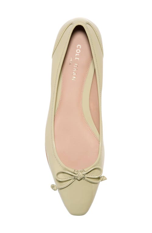COLE HAAN COLE HAAN CHLEA POINTED TOE BALLET FLAT 