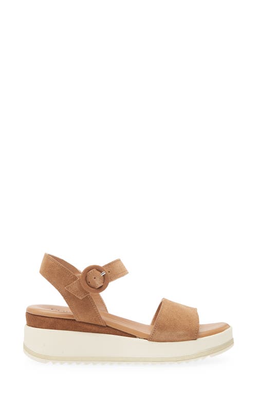 Cordani Arielle Ankle Strap Platform Wedge Sandal In Clove