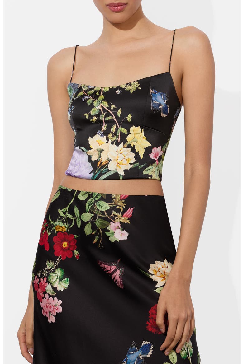 Saylor Bustier Crop Camisole, Main, color, VENUS FLORAL BLACK