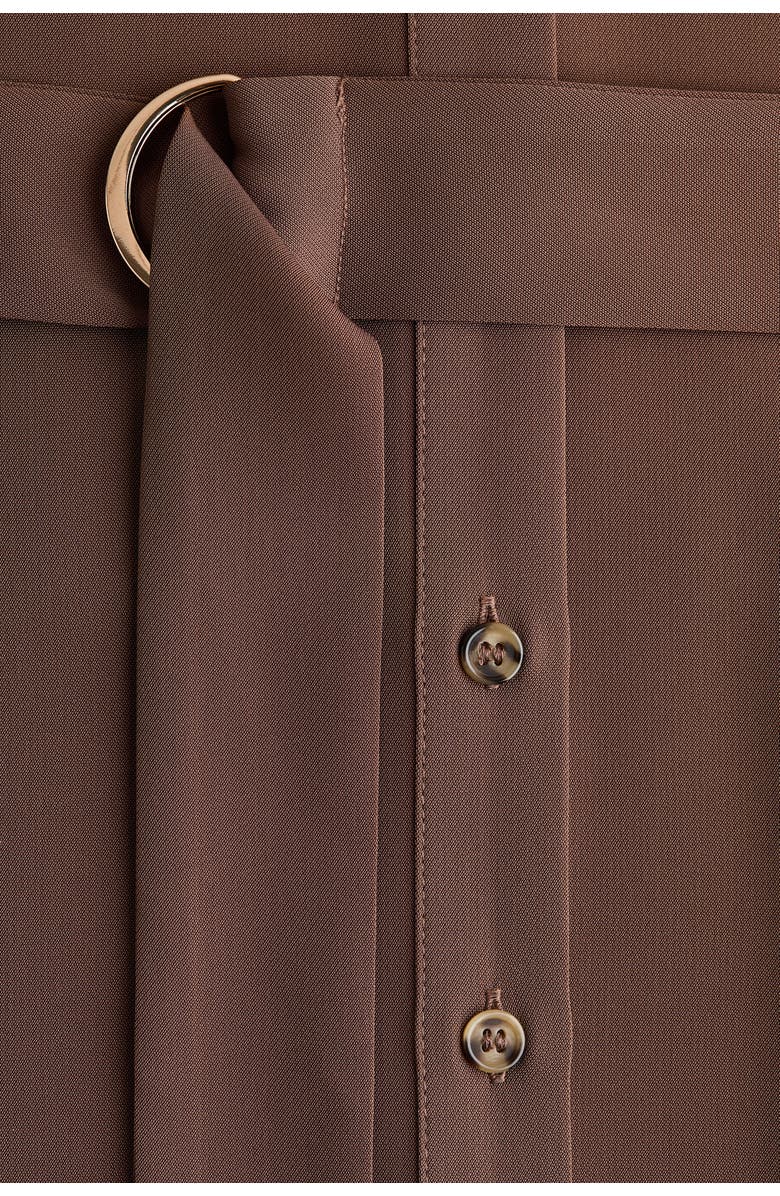H&M Belted Shirt Dress, Alternate, color, Brown