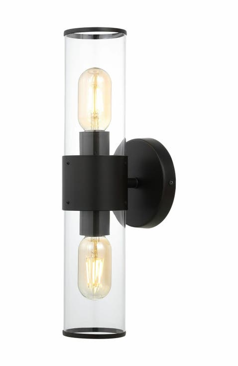 Quinn 2-Light Mid-Century Modern Iron/Acrylic LED Sconce
