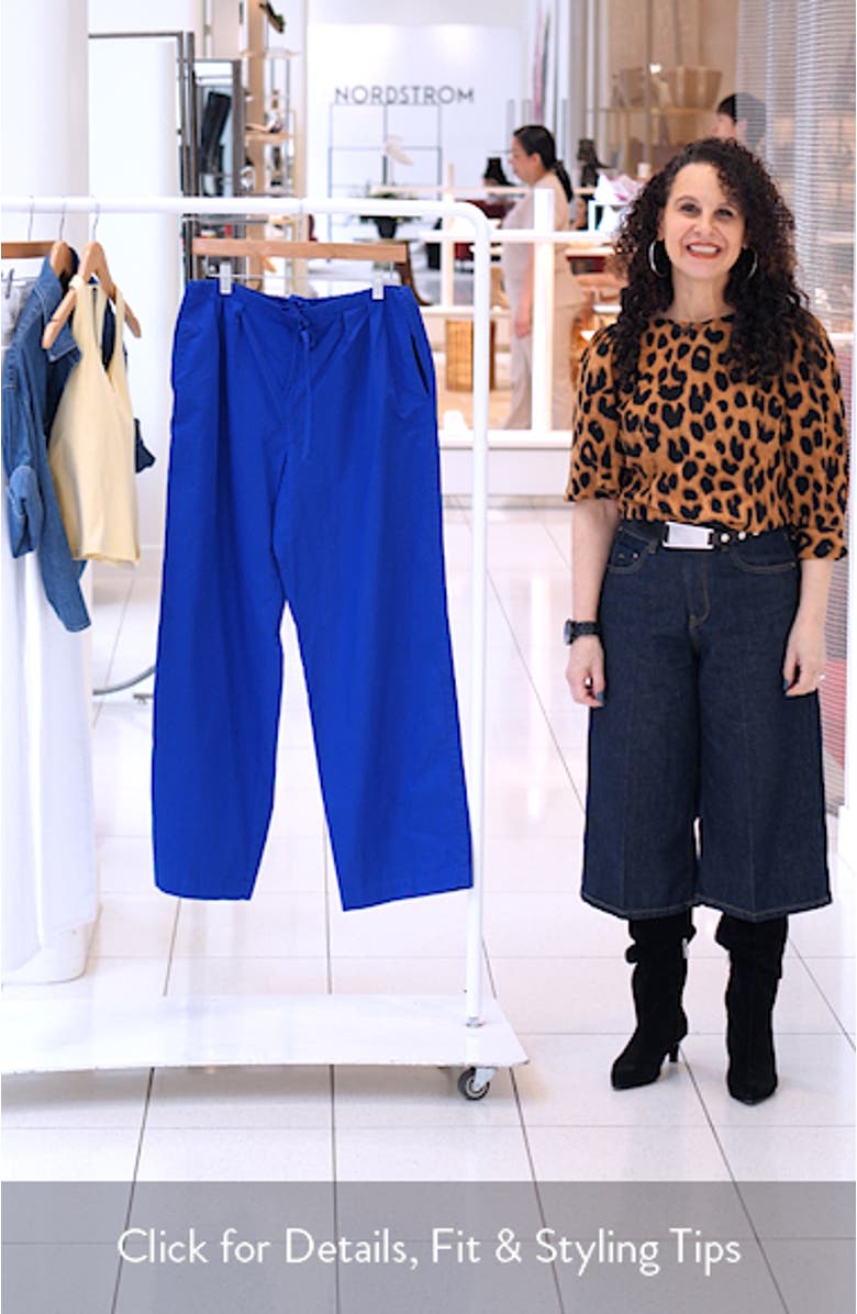Hudson Pleated Wide Leg Cotton Twill Pants, sales video thumbnail