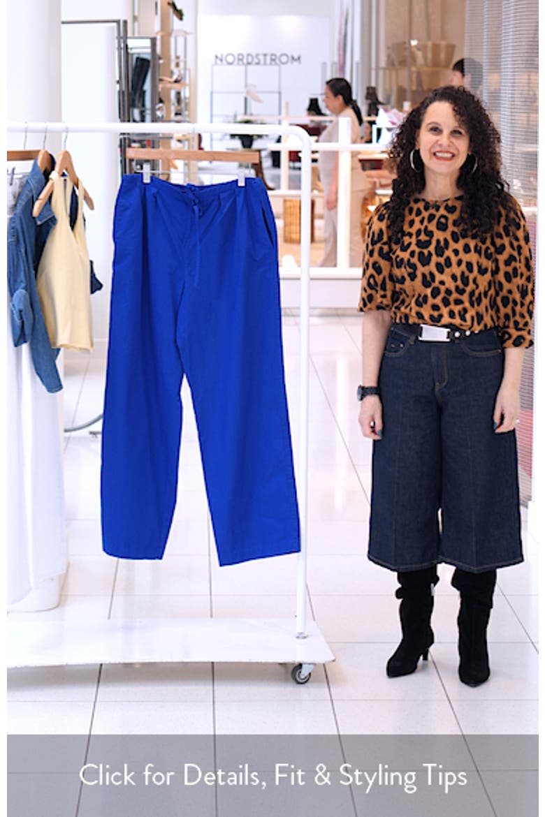 Hudson Pleated Wide Leg Cotton Twill Pants video