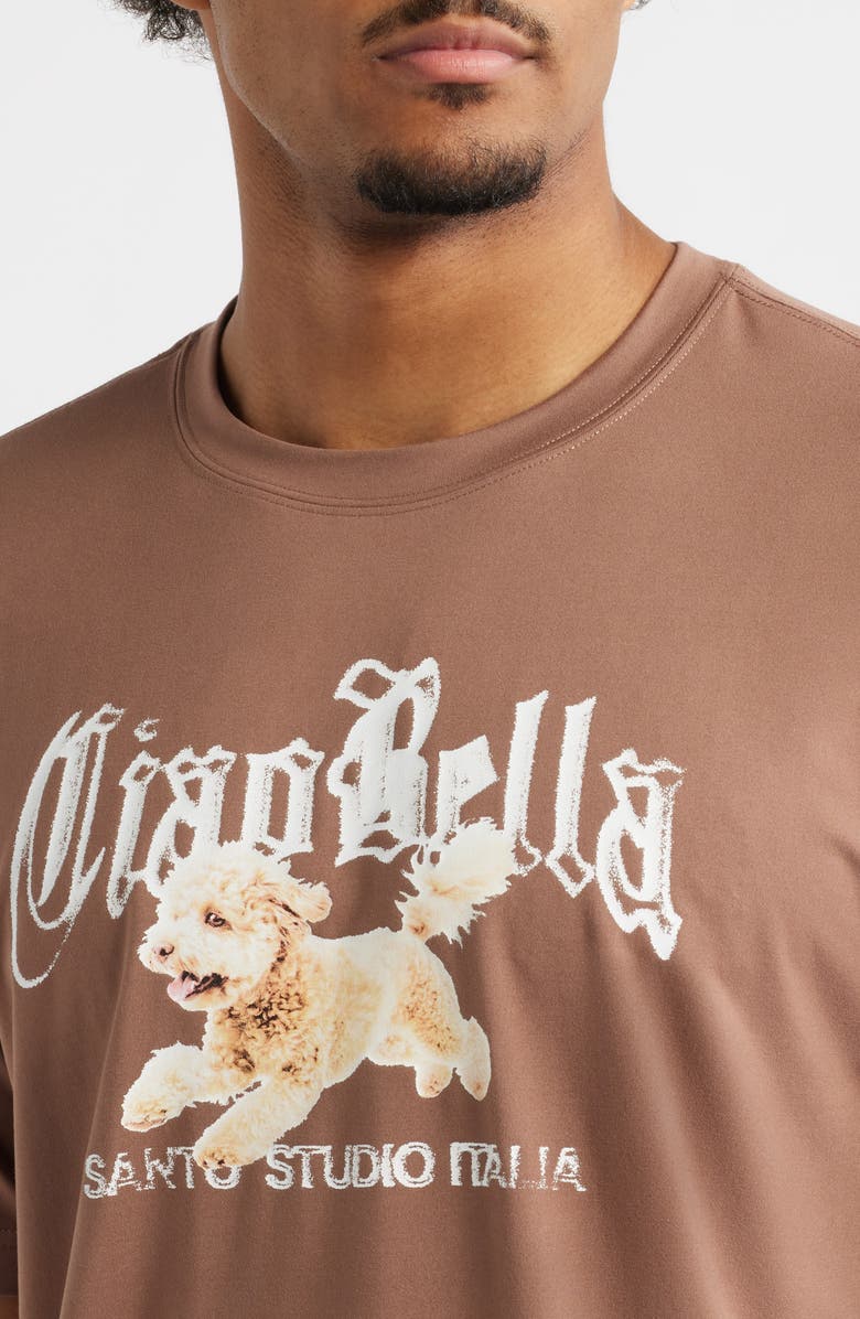SANTO STUDIO Tempo Ciao Bella Tech Graphic T-Shirt, Alternate, color, Espresso