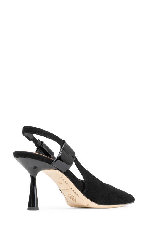 Donald Pliner Pointed Toe Slingback Pump In Black