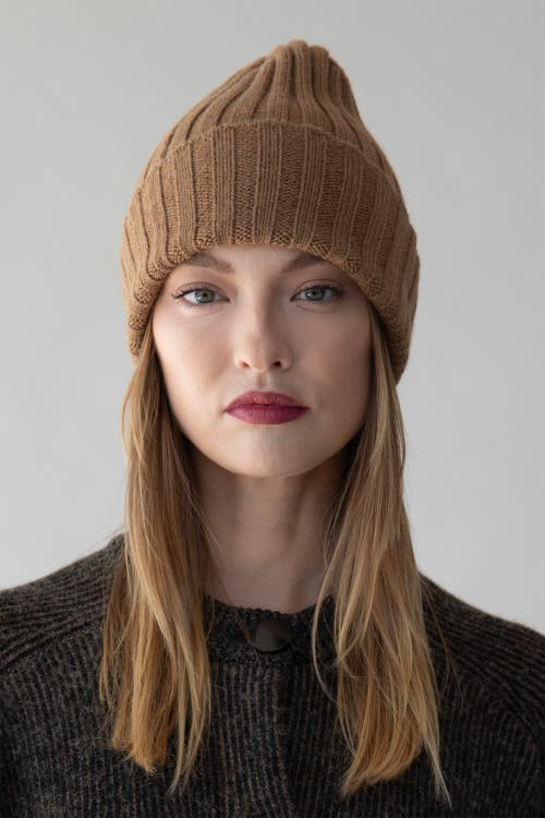 Sskein Ribbed Beanie In Brown