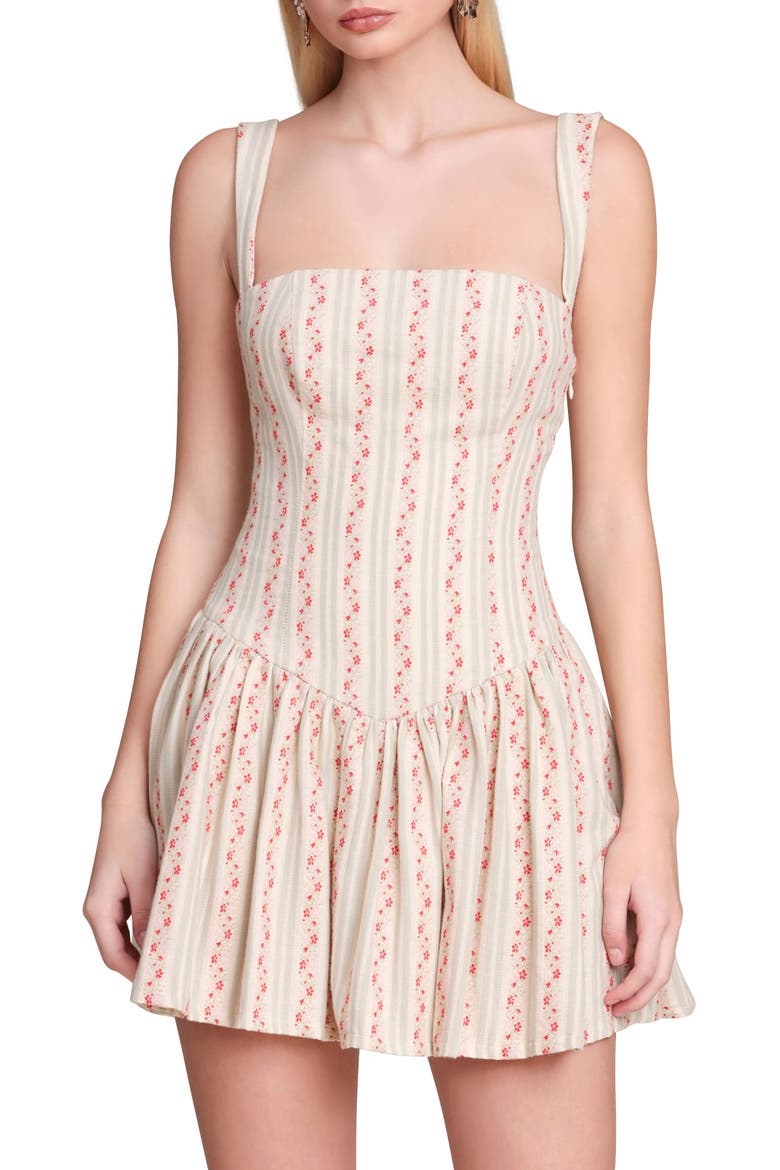 Floral Border Print Drop Waist Minidress, Alternate, color, ROSE STRIPE MULTI