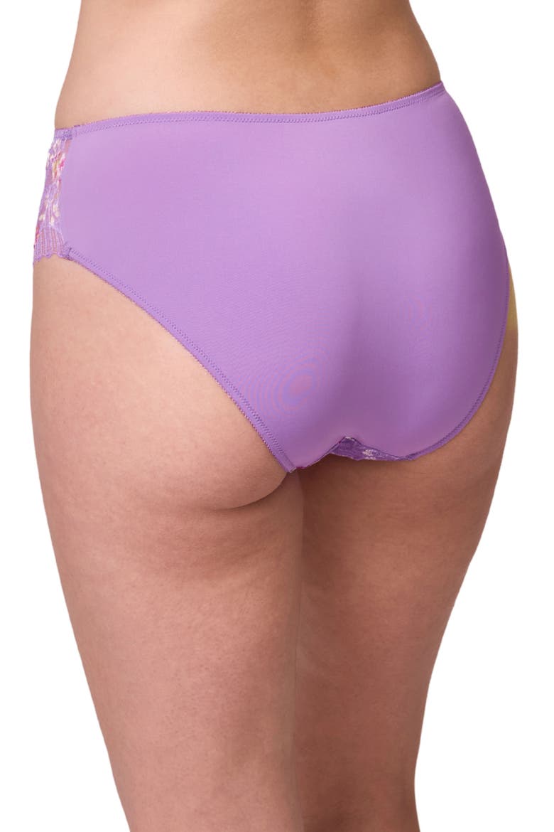 Lace & Microfiber Briefs, Alternate, color, TULIP/ TULIP FIELD