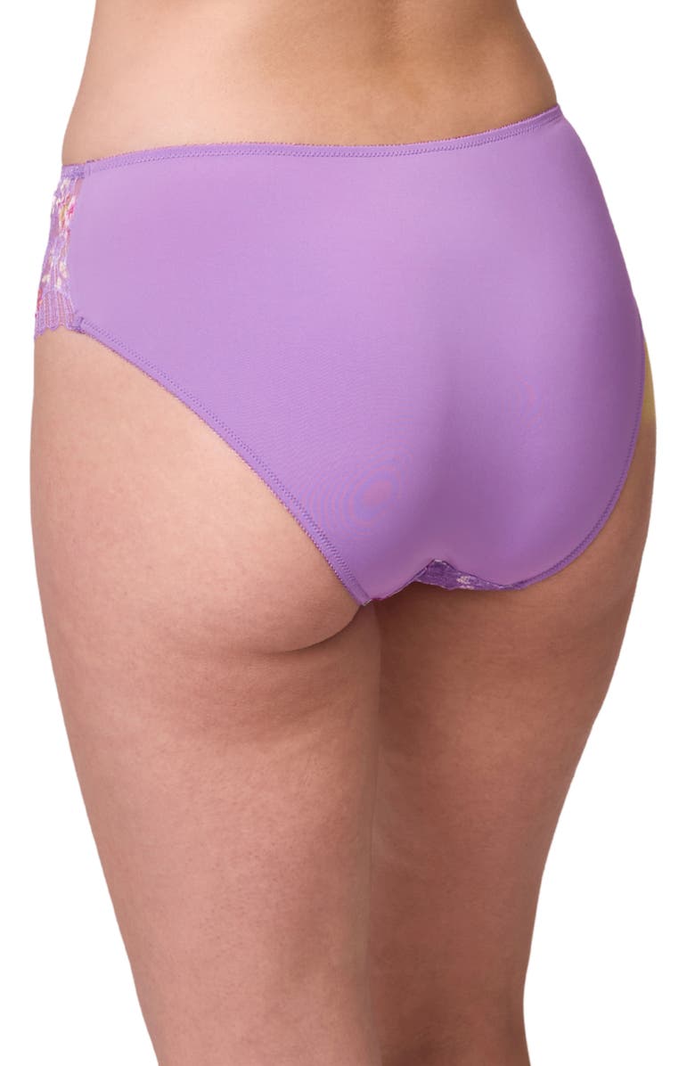 Montelle Intimates Lace & Microfiber Briefs, Alternate, color, 