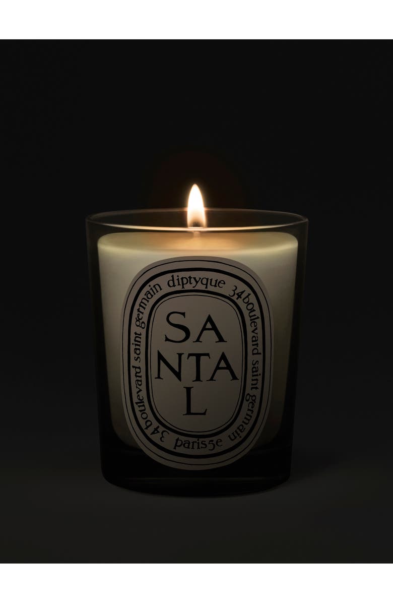 Diptyque Santal (Sandalwood) Scented Candle, Alternate, color, 