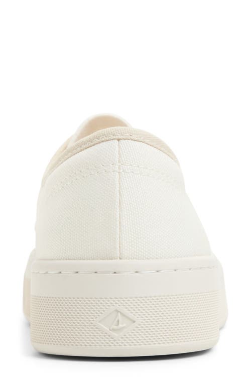 SPERRY TOP-SIDER® SPERRY CANDY LOW TOP SNEAKER