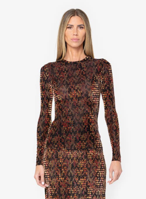 Jbq Hugo Top In Brown