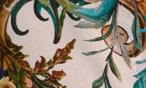 Alice And Olivia Gilded Rose Willa Placket Top In Neutral