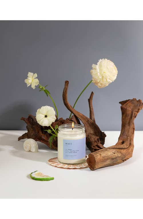 Brooklyn Candle Studio Maui Jar Candle