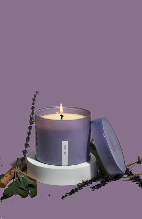 Vella & Co. By Vellabox Moods Soy Wax Candle