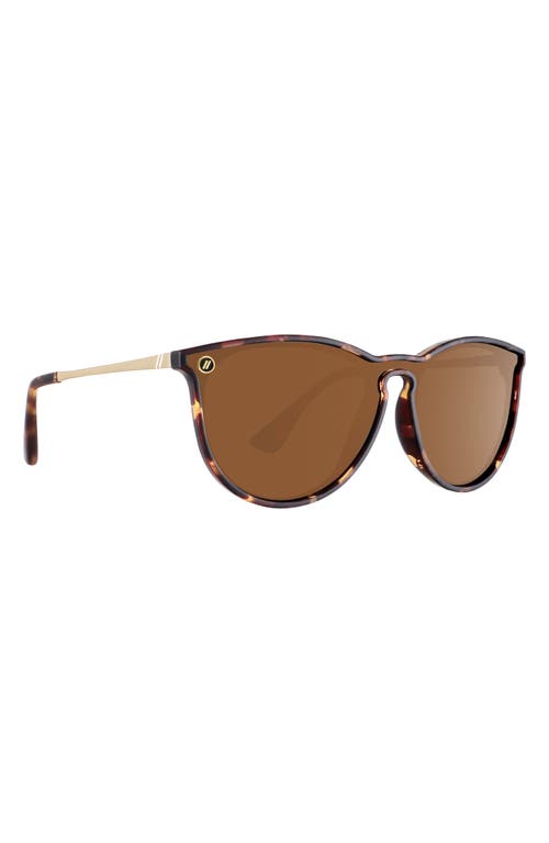 Blenders Eyewear North Park Polarized Round Sunglasses