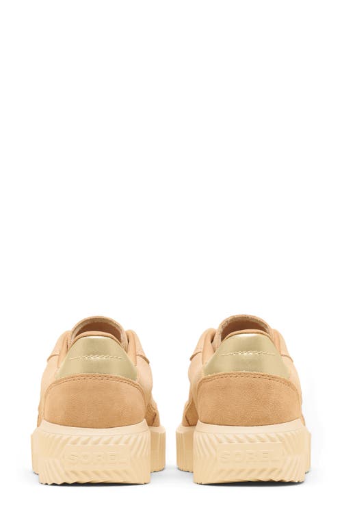 Sorel Ona Ave T-toe Platform Sneaker In Brown