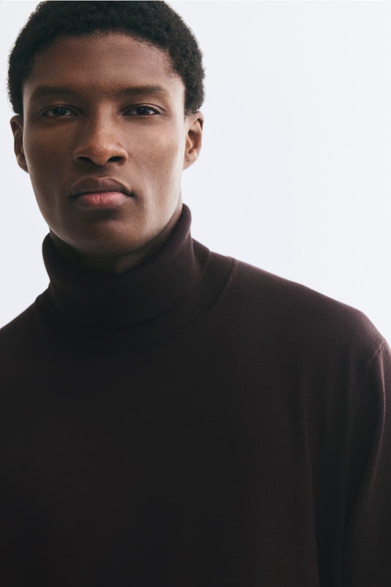 Regular-fit Fine-knit Turtleneck Sweater, Alternate, color, Dark brown