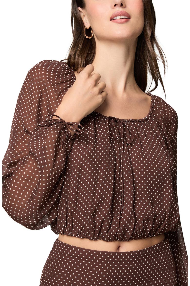 Capricorn Polka Dot Blouse, Alternate, color, MAHOGANY/ ECRU