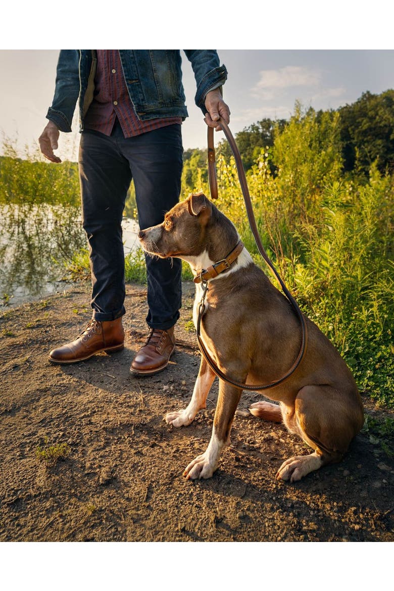 Gordon Leather Dog Collar, Alternate, color, Espresso