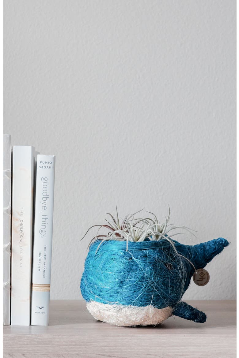 Aquatic Animal Coco Coir Planters, Alternate, color, Blue